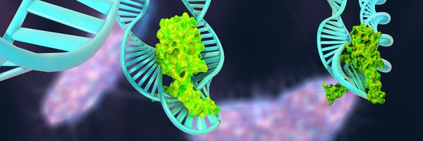 SmitsLab Profile Banner