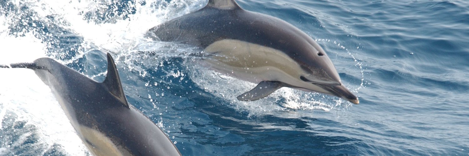 Martin (Legacy) banner