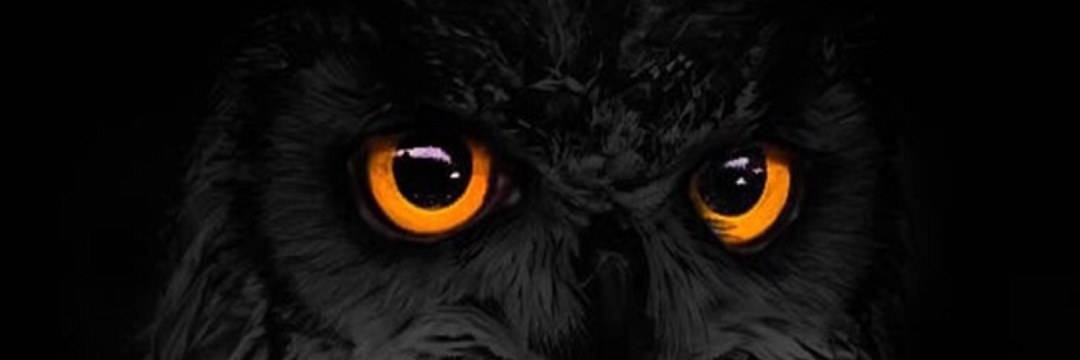 IamAbba_'s profile banner image