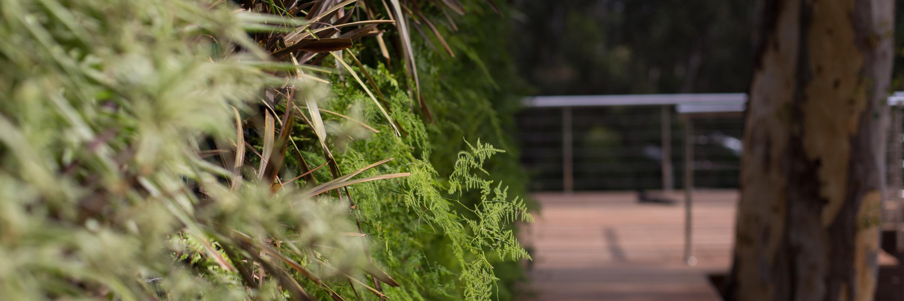 ProLandscaperCB's profile banner image