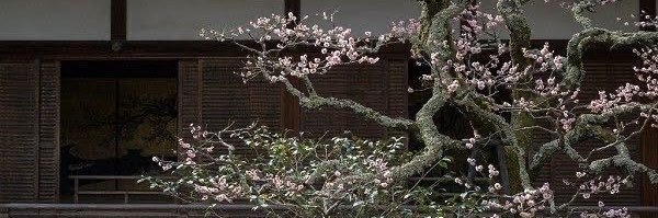 e! ‎ . ݁⋆ ꫂ᭪ banner