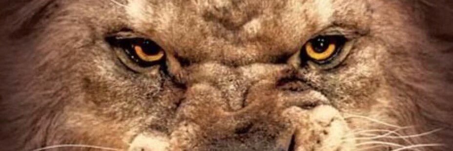 Larry Johnson banner