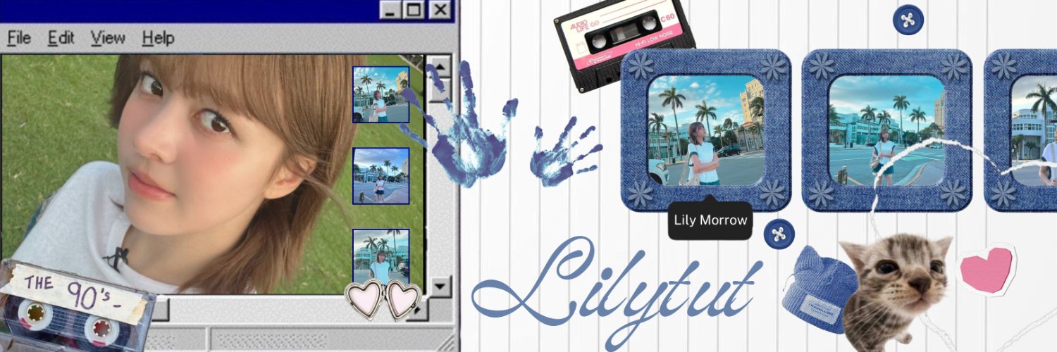 LILYTUT 🐨 banner