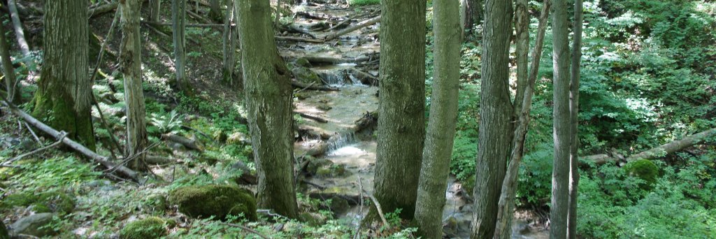 prettyriverinn's profile banner image