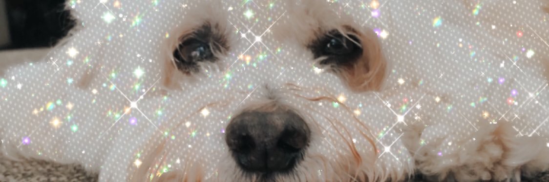 PaooGutz's profile banner image