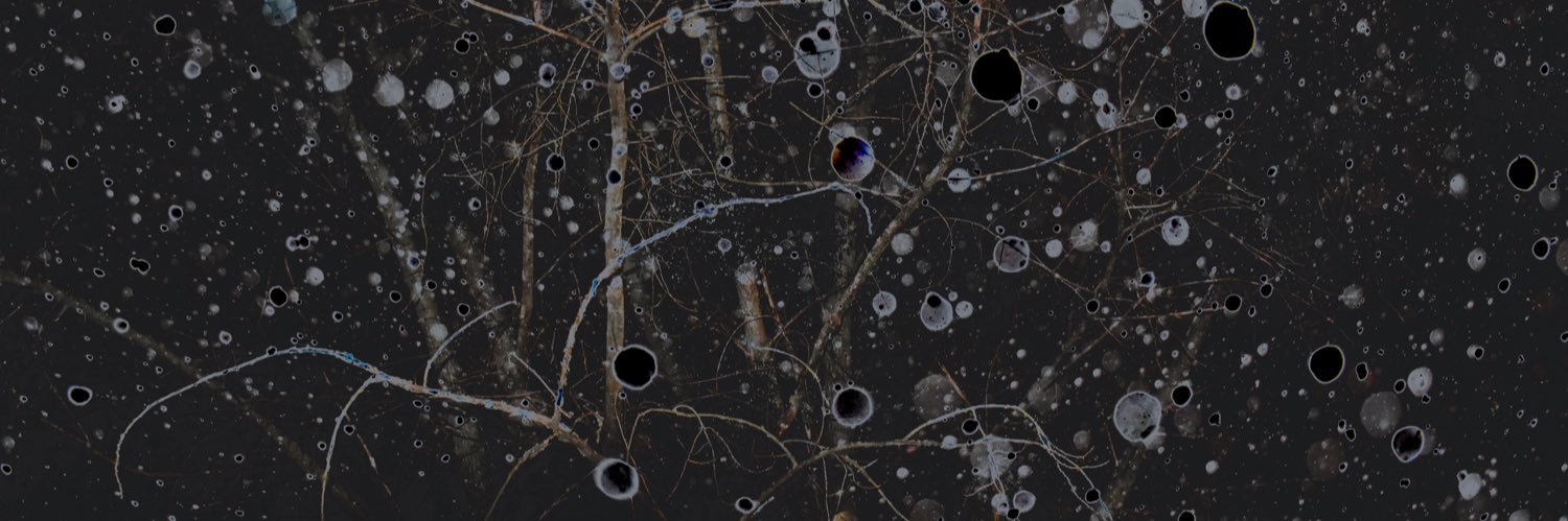 d_bordun's profile banner image