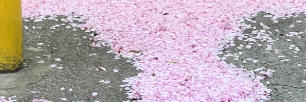 nanerisms Profile Banner