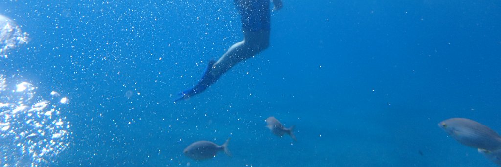 Fredrik Andersson 🇺🇦 banner