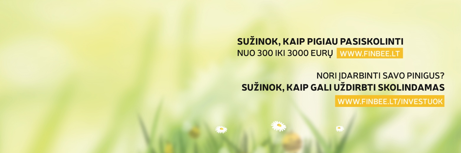 FinanceBee's profile banner image