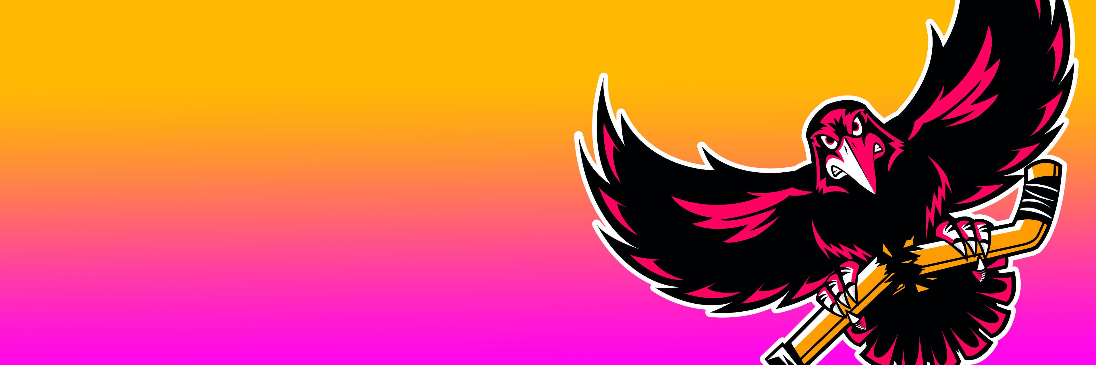 Breast Cancer Hockey banner