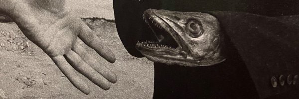 paucusi Profile Banner