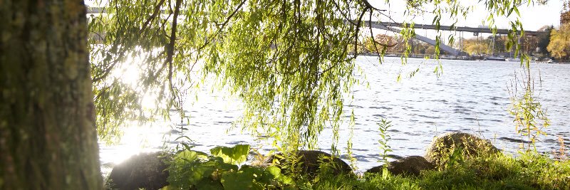 VBillhamPhoto's profile banner image