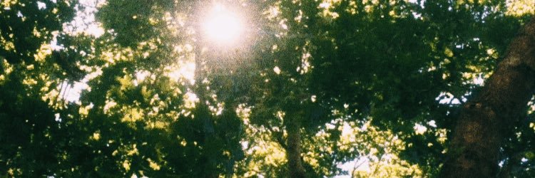 Tina__Barbee's profile banner image