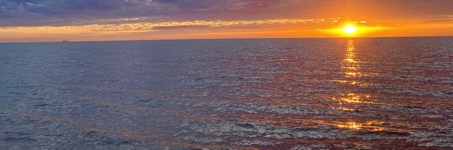 wthissa_'s profile banner image