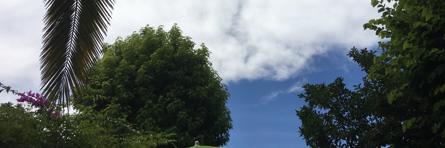 dggilda's profile banner image