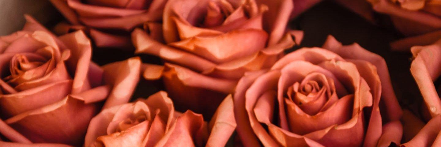 ghazwa806's profile banner image