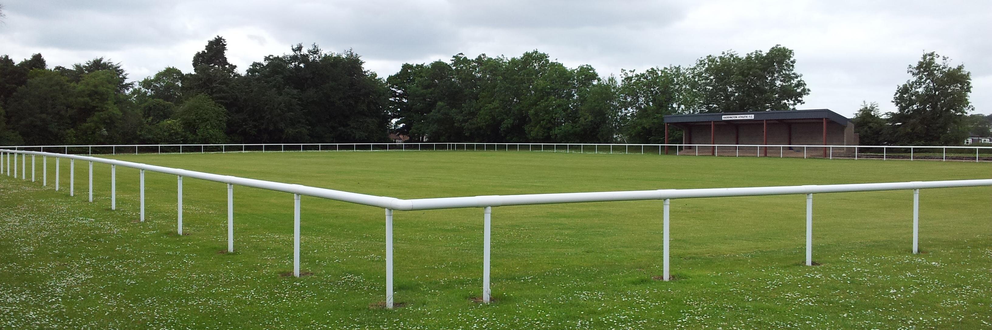 Tom Thornton banner