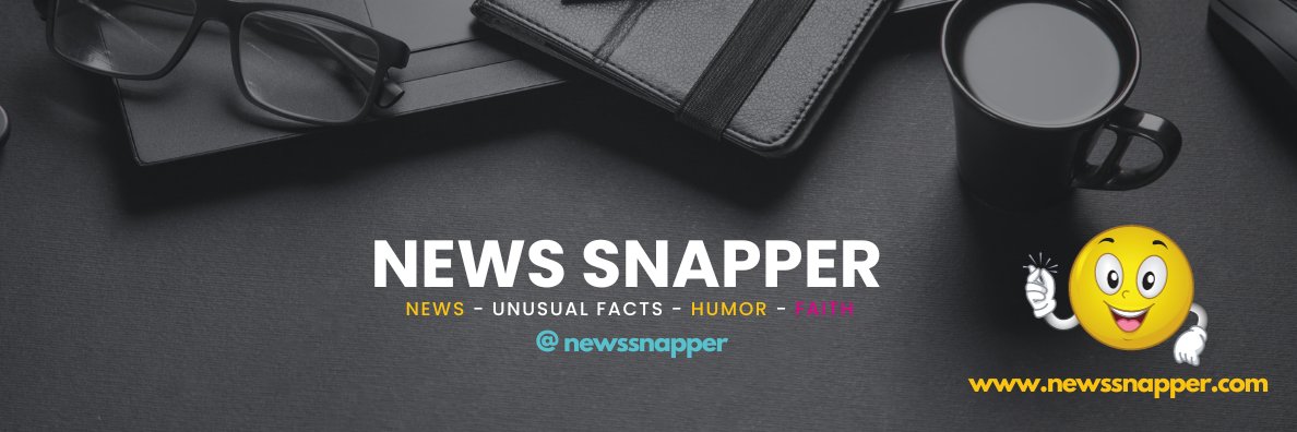 News Snapper banner