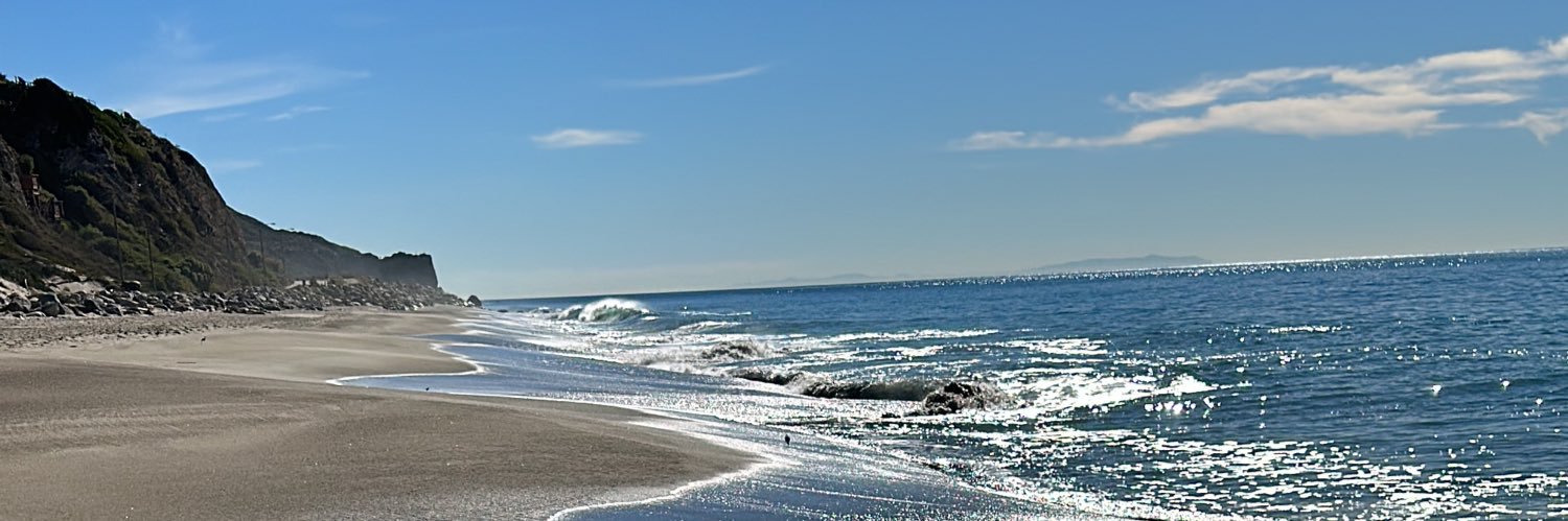 Joseph A. DiStefano banner