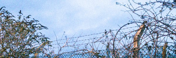 h444zr Profile Banner