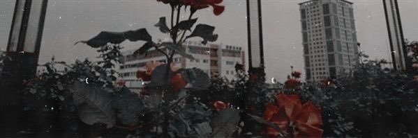Alaa_t1's profile banner image