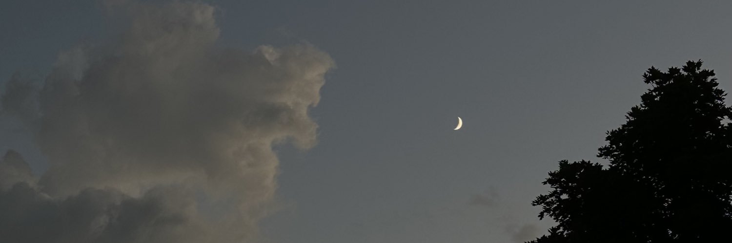 rizeallia's profile banner image