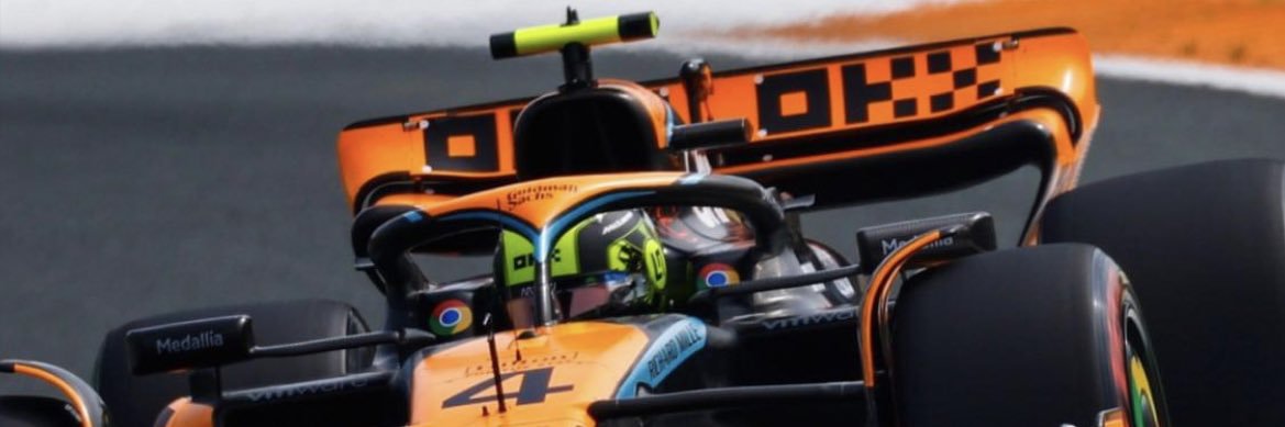 Michelle Knight banner