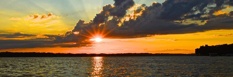 nosdivadwd's profile banner image
