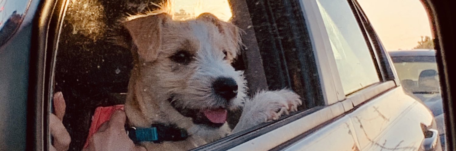 elaineee10's profile banner image