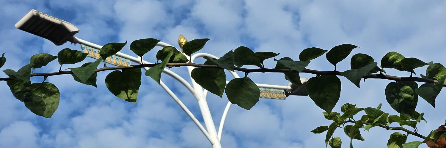 praspati's profile banner image