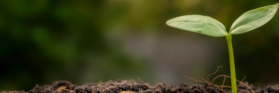 The Global Innovation Lab for Climate Finance banner