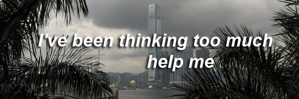 BudgyVicky's profile banner image
