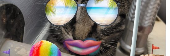 Merri banner