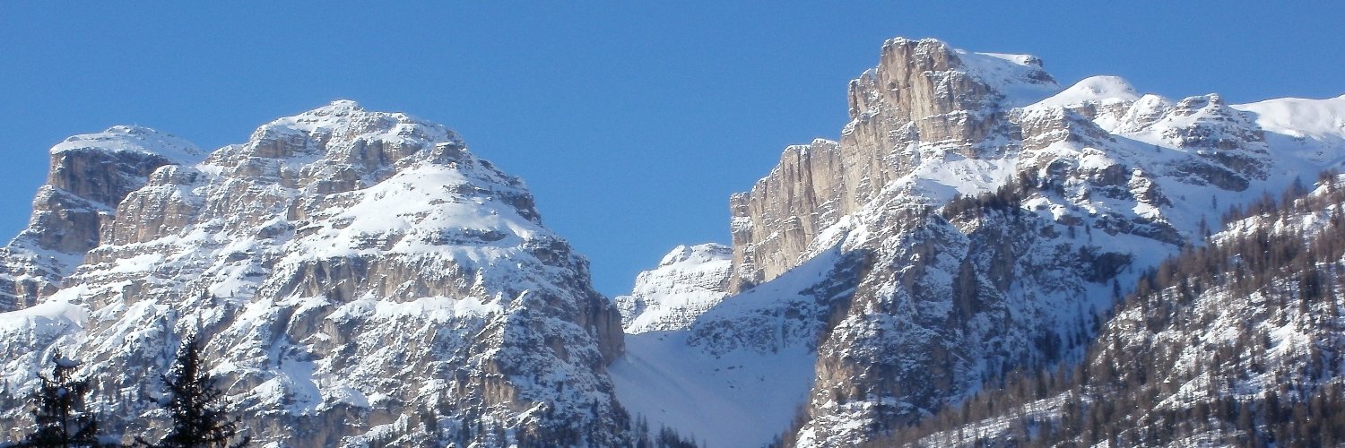 vierids's profile banner image