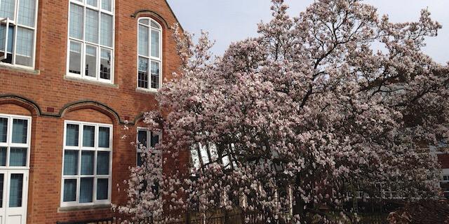TheAbbey_Eng's profile banner image
