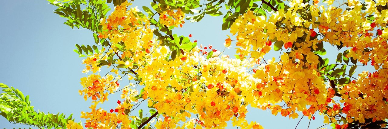 EmmaMG_D's profile banner image