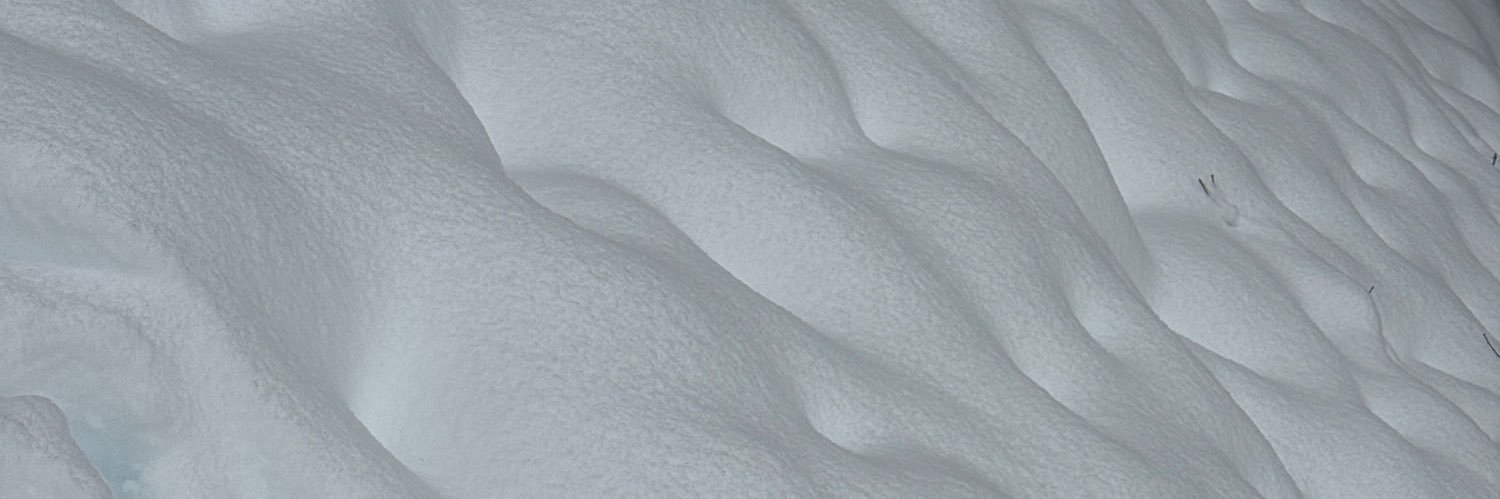 scusemepardon's profile banner image