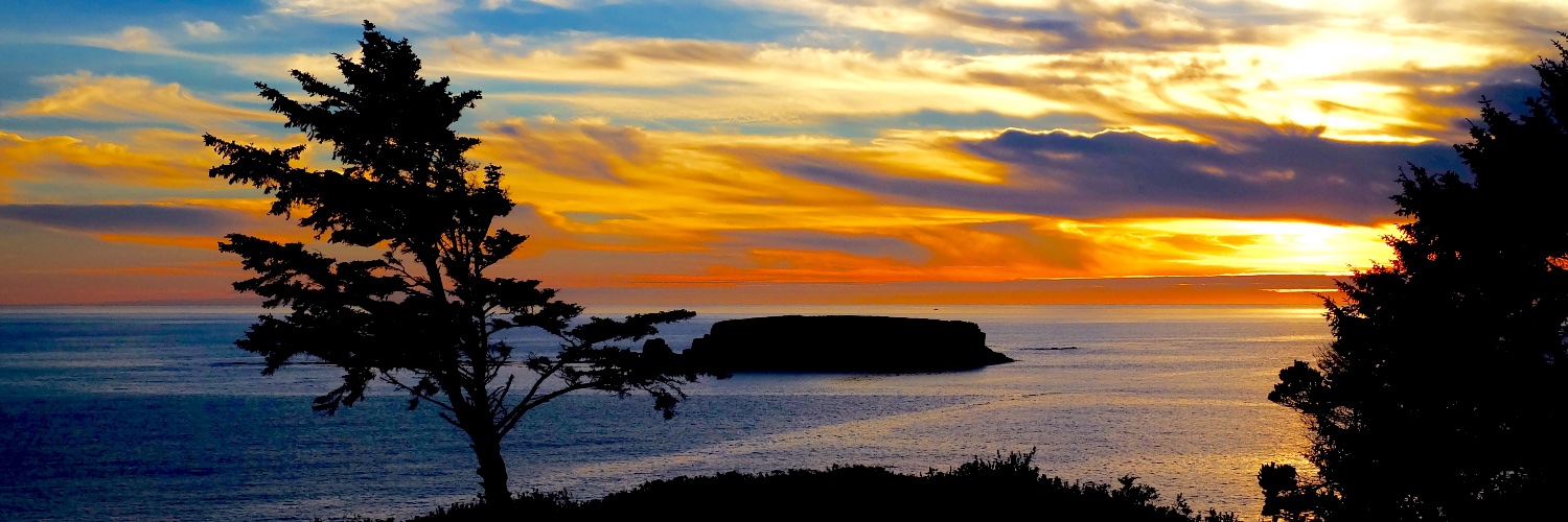 Kryn Stankunas banner