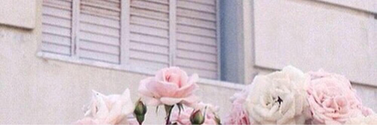 vividlwt's profile banner image