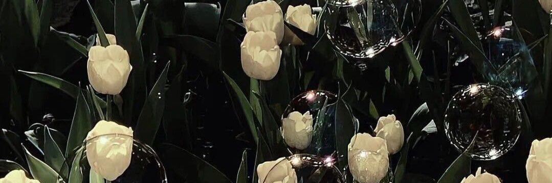 krislovjae's profile banner image