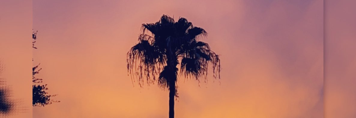 _torilynn15's profile banner image