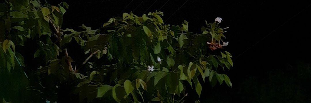 R__Khaan's profile banner image