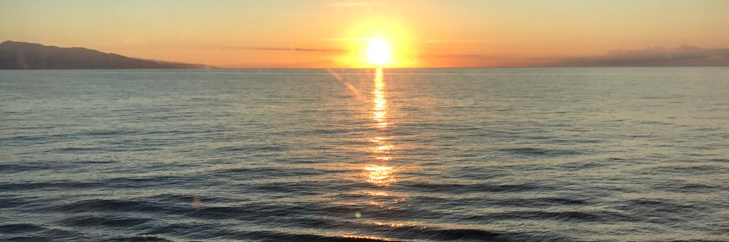 Valentin Suarez banner