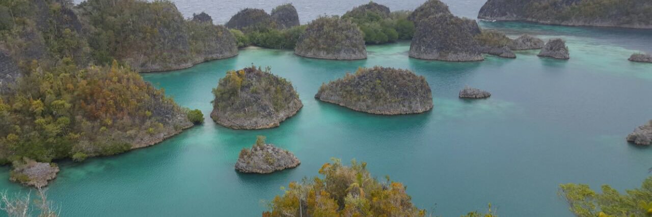 Roy Sparringa banner