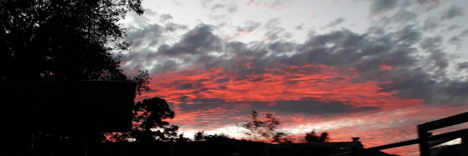 Daniel Albarrán banner