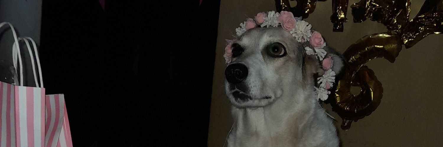 LDGIMENEZ's profile banner image