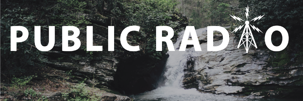 Public /\ Radio banner