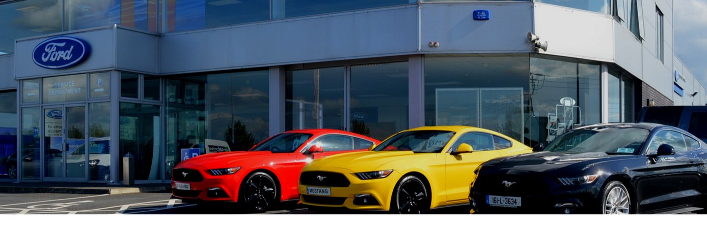 Lyons of Limerick banner