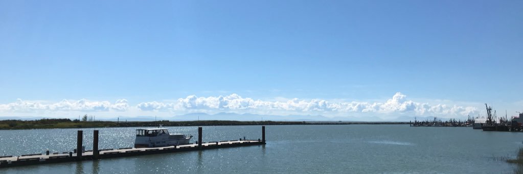 inPochinki's profile banner image