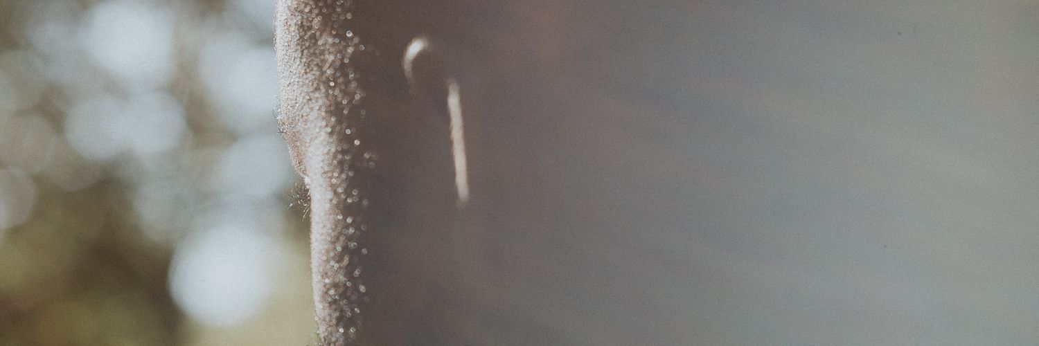 Mikedadio's profile banner image